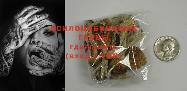 молекула духа Арсеньев