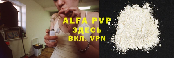 молекула духа Арсеньев