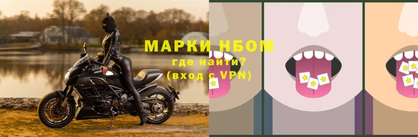 молекула духа Арсеньев