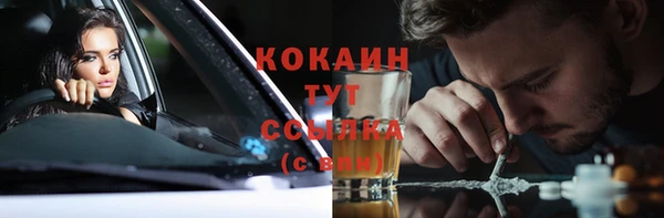 молекула духа Арсеньев