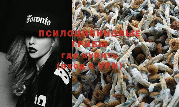 молекула духа Арсеньев