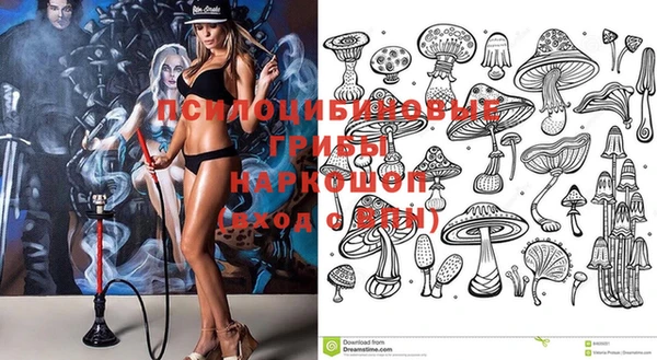 молекула духа Арсеньев