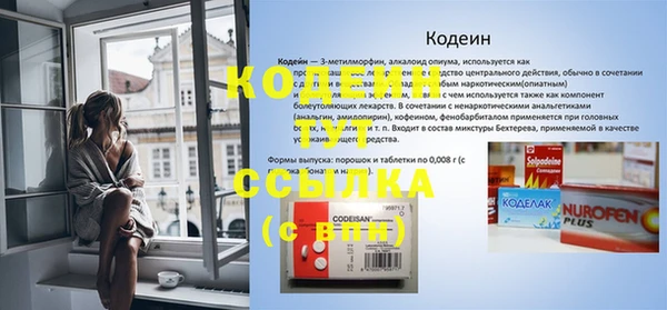 молекула духа Арсеньев