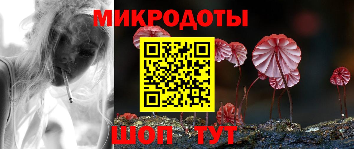 Псилоцибиновые грибы Cubensis Беслан
